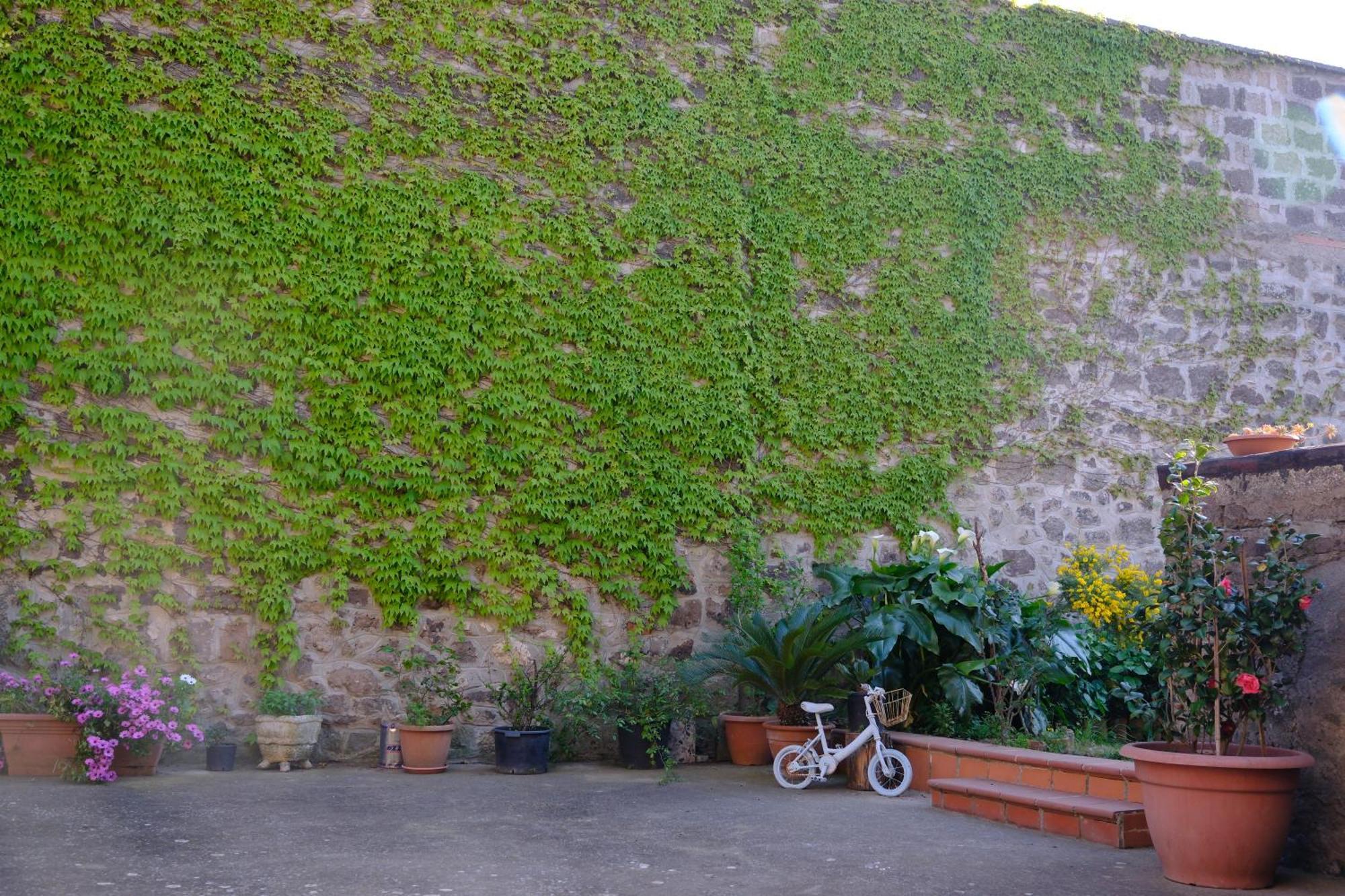 Conte Spencer Caserta Vecchia Exterior foto